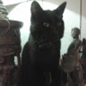 Meet your Posher, Angela v.